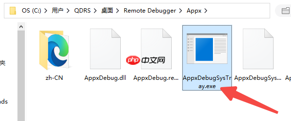 exe文件怎么打开？新手也能看懂的详细教程