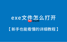 exe文件怎么打开？新手也能看懂的详细教程