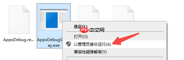 exe文件怎么打开？新手也能看懂的详细教程