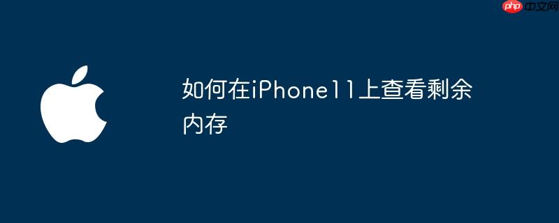 如何在iphone11上查看剩余内存