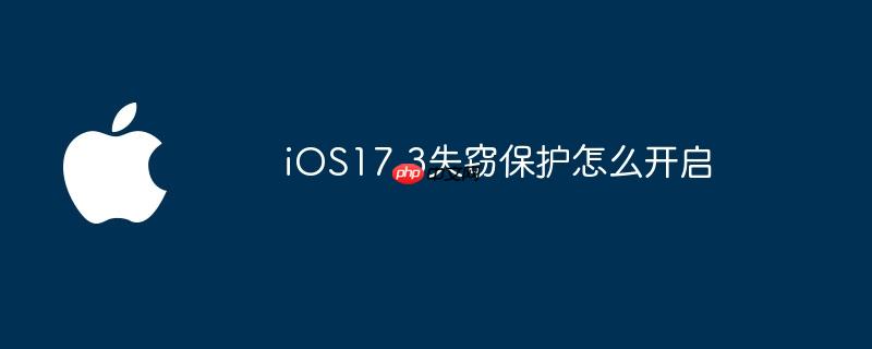 ios17.3失窃保护怎么开启