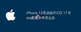 iphone 12无法运行ios 17 beta配置文件怎么办