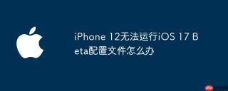 iPhone 12无法运行iOS 17 Beta配置文件怎么办