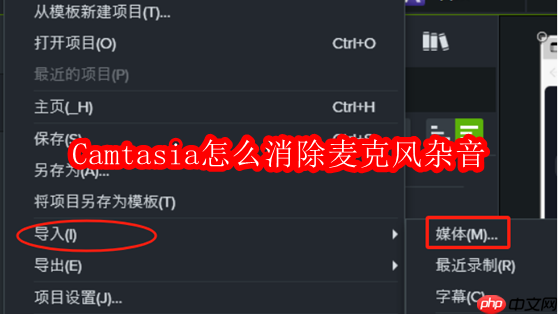 Camtasia怎么消除麦克风杂音