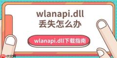 wlanapi.dll丢失怎么办 wlanapi.dll下载指南