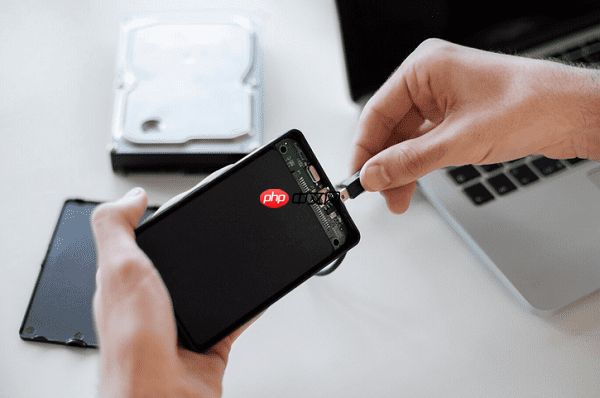 移动硬盘坏了怎么导出数据?简单实用的方法来了