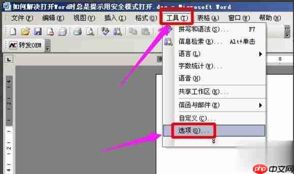 怎么解除word安全模式