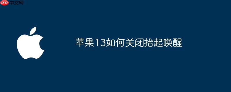 苹果13如何关闭抬起唤醒