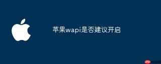 苹果wapi是否建议开启