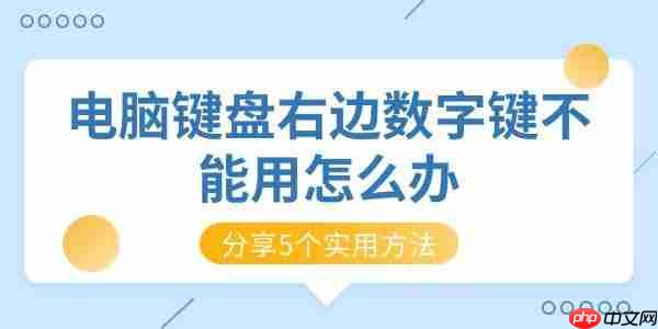 电脑键盘右边数字键不能用怎么办 分享5个实用方法
