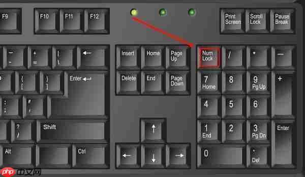 电脑键盘右边数字键不能用怎么办 分享5个实用方法