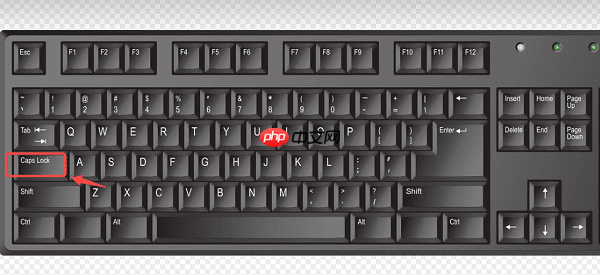 电脑字母大小写按哪个键切换 详细教程分享