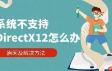 系统不支持DirectX12怎么办 原因及解决方法