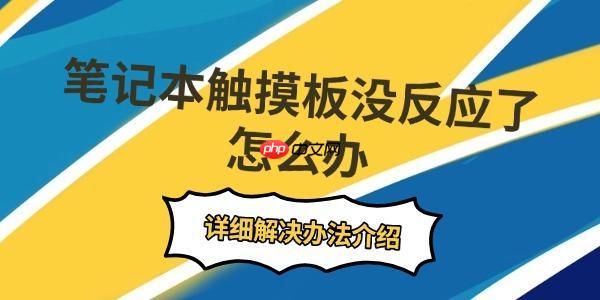 笔记本触摸板没反应了怎么办 详细解决办法介绍