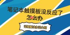 笔记本触摸板没反应了怎么办 详细解决办法介绍