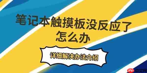 笔记本触摸板没反应了怎么办 详细解决办法介绍
