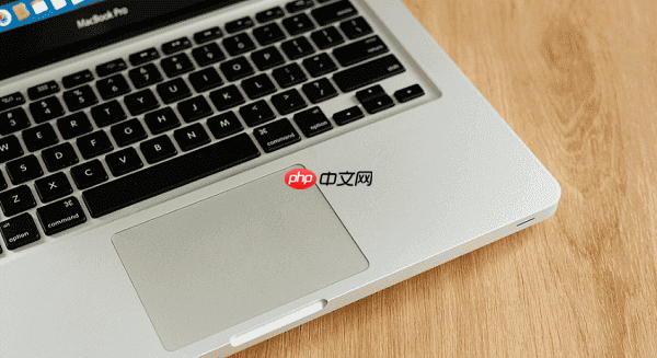 笔记本触摸板没反应了怎么办 详细解决办法介绍