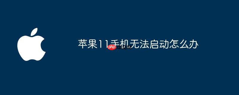 苹果11手机无法启动怎么办