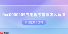 0xc0000409应用程序错误怎么解决？试试这几个方法