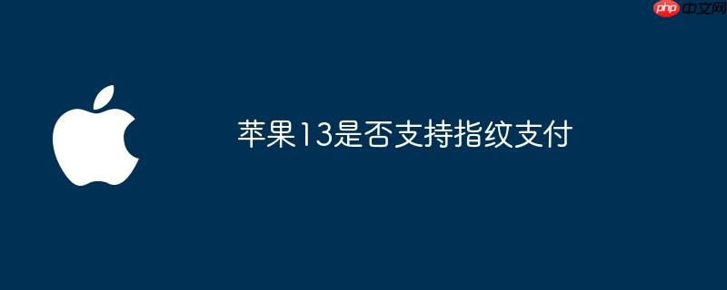苹果13是否支持指纹支付