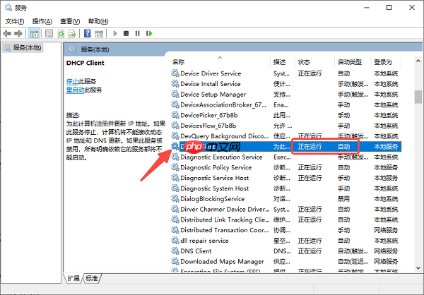 找不到DHCP服务器怎么解决 原因分析及解决方法