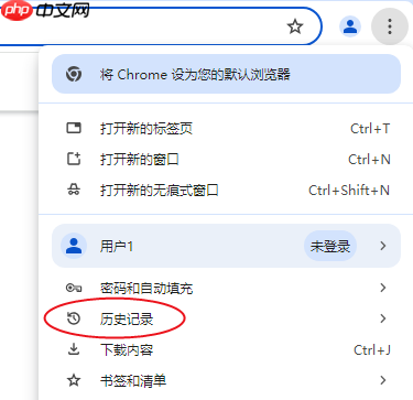 网页怎么恢复历史记录 三步教你高效恢复!
