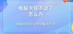 电脑卡住不动了怎么办 电脑死机完全卡住解决方法