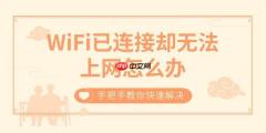 WiFi已连接却无法上网怎么办 手把手教你快速解决
