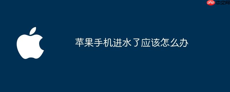 苹果手机进水了应该怎么办