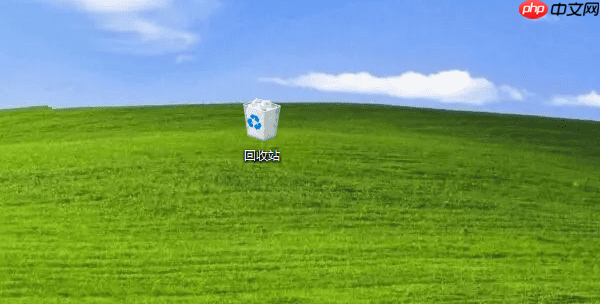 电脑上删除的文件怎么找回来 试试这5个方法