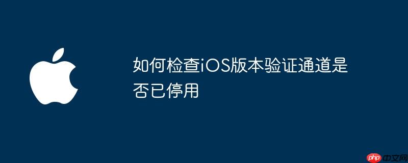 如何检查iOS版本验证通道是否已停用