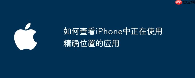 如何查看iphone中正在使用精确位置的应用