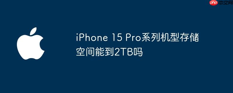 iphone 15 pro系列机型存储空间能到2tb吗