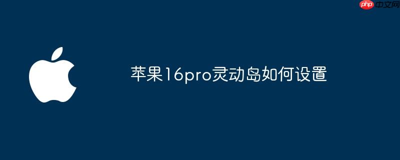 苹果16pro灵动岛如何设置