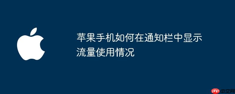 苹果手机如何在通知栏中显示流量使用情况