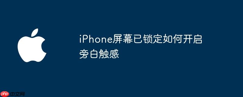iphone屏幕已锁定如何开启旁白触感