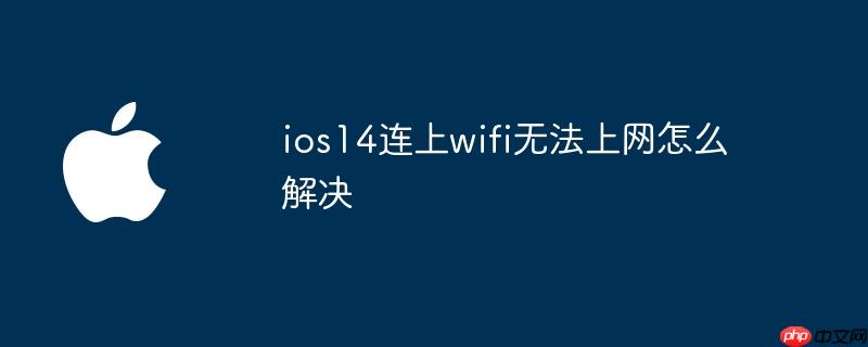 ios14连上wifi无法上网怎么解决
