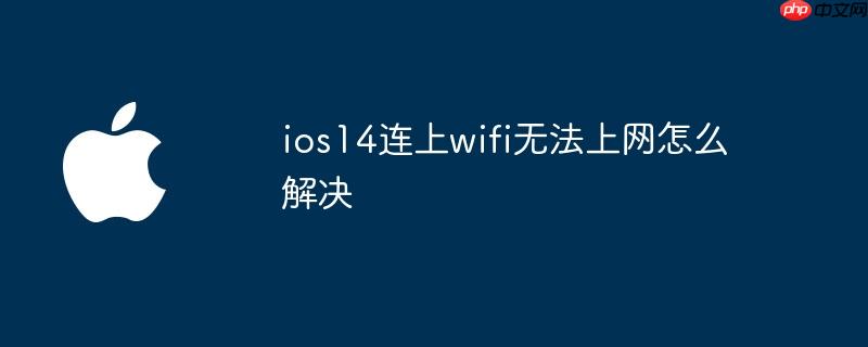 ios14连上wifi无法上网怎么解决