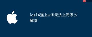 ios14连上wifi无法上网怎么解决