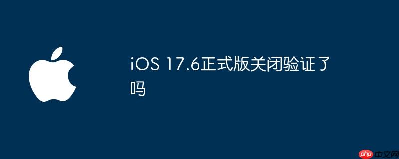 ios 17.6正式版关闭验证了吗
