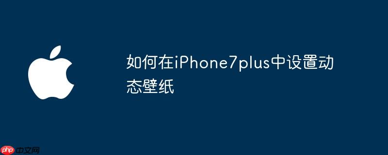 如何在iphone7plus中设置动态壁纸