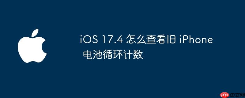 ios 17.4 怎么查看旧 iphone 电池循环计数