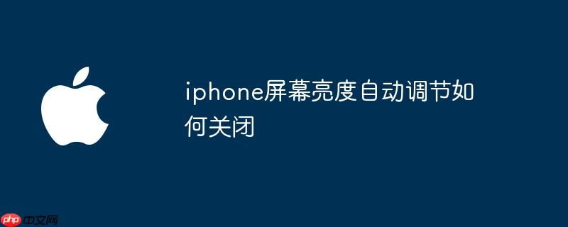 iphone屏幕亮度自动调节如何关闭