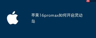 苹果16promax如何开启灵动岛
