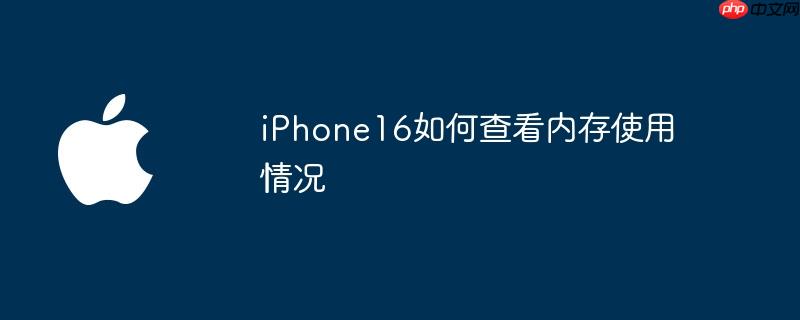 iphone16如何查看内存使用情况