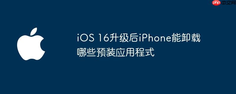 ios 16升级后iphone能卸载哪些预装应用程式