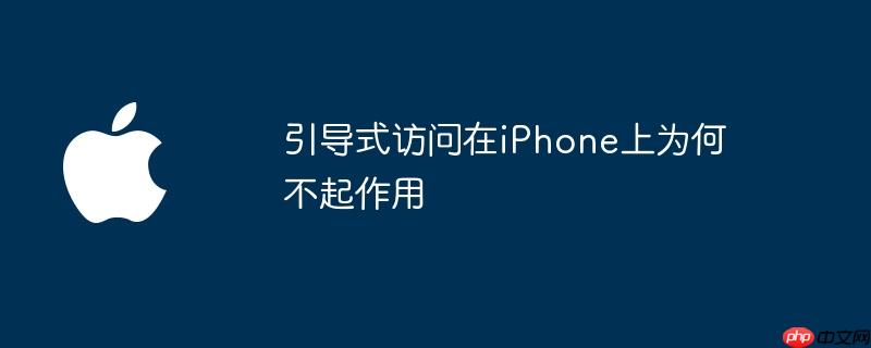 引导式访问在iPhone上为何不起作用
