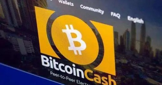 What is the issue price of Bitcoin Cash?