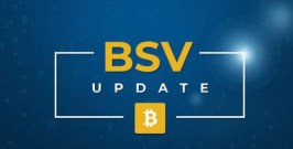 bsv币怎么样