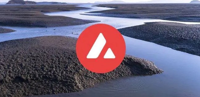 avax币是什么币 - php中文网